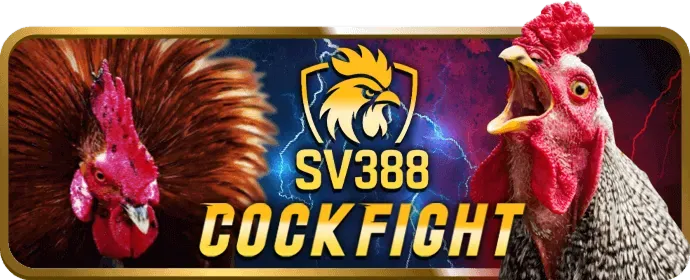 Sự kiện độc quyền HK88